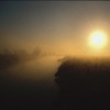 Dawn on the River Lark